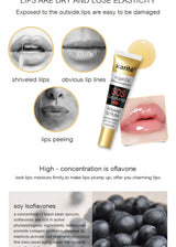Lasting Moisturizing Lip Plumper Plumping Lip Gloss Mineral Oil Lips Extreme Volume Nutritious Lips Enhancer Liquid Makeup